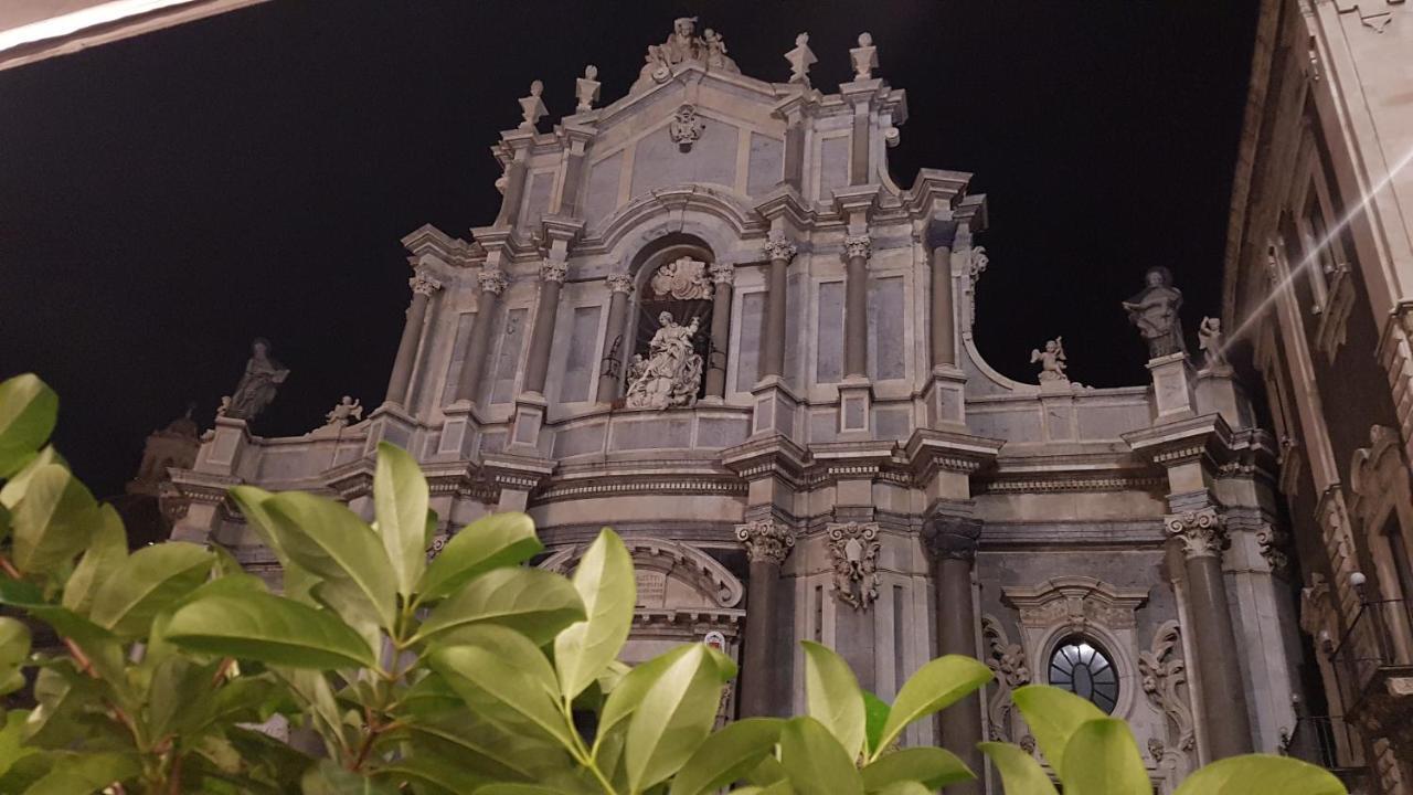 House Da Carlo *